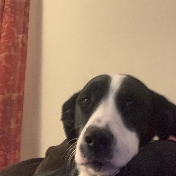 Meet your Posher, Julie - Picture 1 of 1